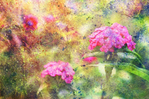 Purple flowers and abstract watercolor splatter — Stock Photo, Image