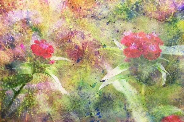 Fleurs rouges et éclaboussures abstraites d'aquarelle — Photo