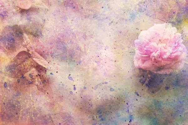Sevimli pembe Gül ve renkli sulu boya konturları resimle — Stok fotoğraf