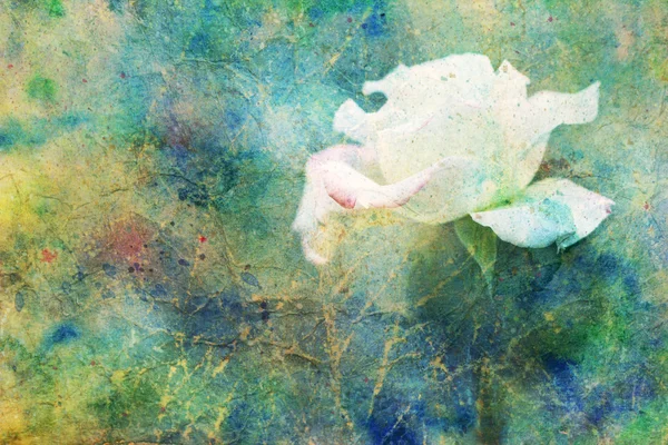 Grunge-Kunstwerk mit weißer Rose und bunten Aquarellflecken — Stockfoto
