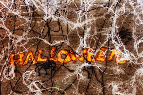 Halloween-Spinnen und Netz — Stockfoto
