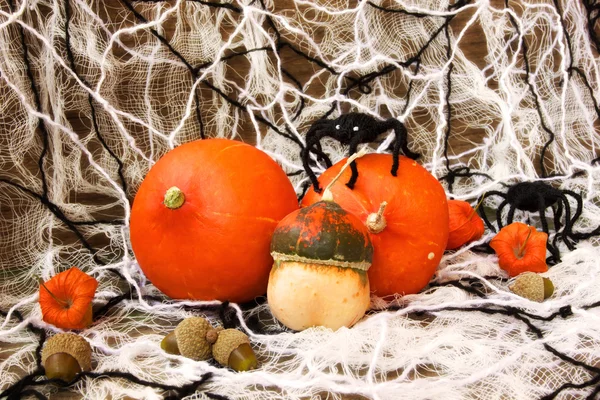 Decorations for halloween — Stock Photo, Image