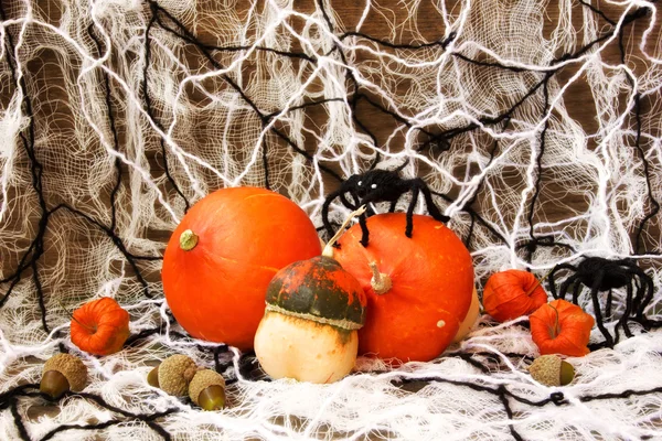 Gruselige Dekorationen zu Halloween — Stockfoto