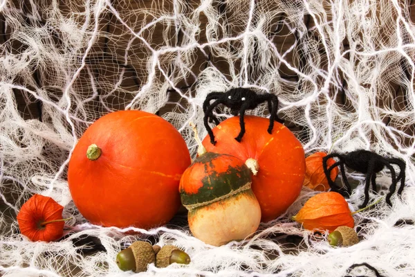 Gruselige Dekorationen zu Halloween: Kürbisse, Netz und Spinnen — Stockfoto