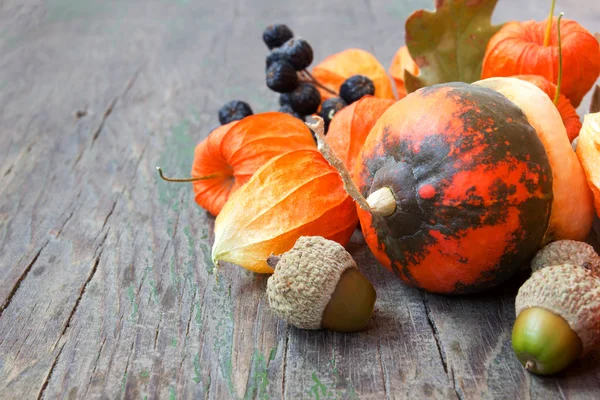 Autumn crop close up: pumpkins, nuts, cape gooseberries — Stock Photo, Image