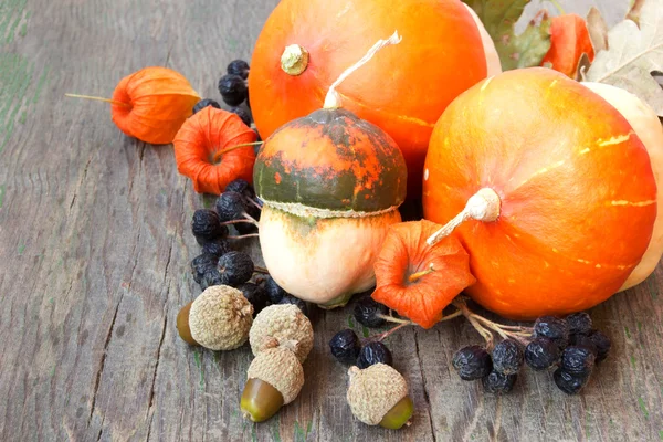 Autumn harvest: pumpkins, nuts, cape gooseberries. — Stock Photo, Image