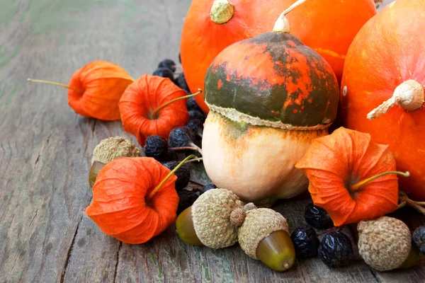 Kürbisse, Nüsse, Stachelbeeren. Herbsternte — Stockfoto