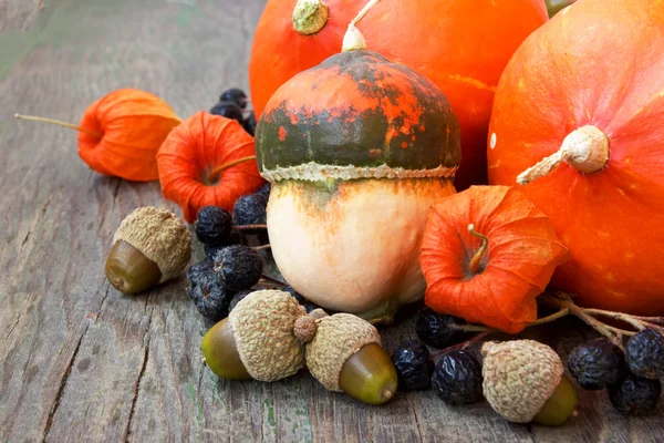 Pumpkins, nuts, cape gooseberries. autumn still life — Stock Photo, Image