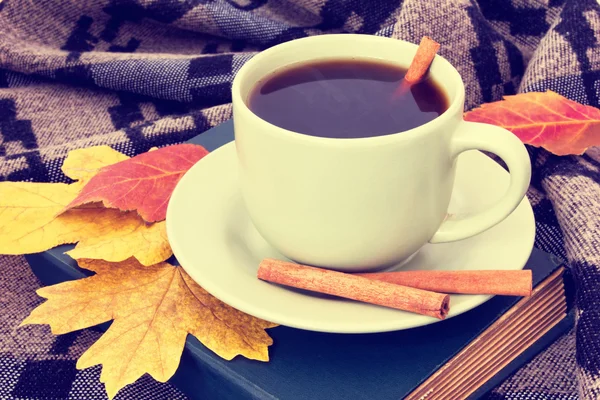 Confortable tasse de café chauffante avec cannelle sur carreaux — Photo