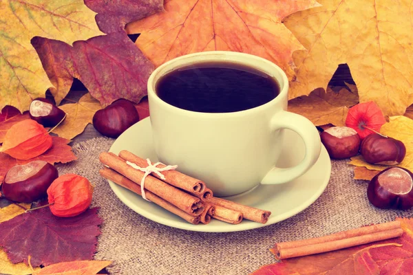 Xícara aconchegante de café com canela em um fundo de outono — Fotografia de Stock
