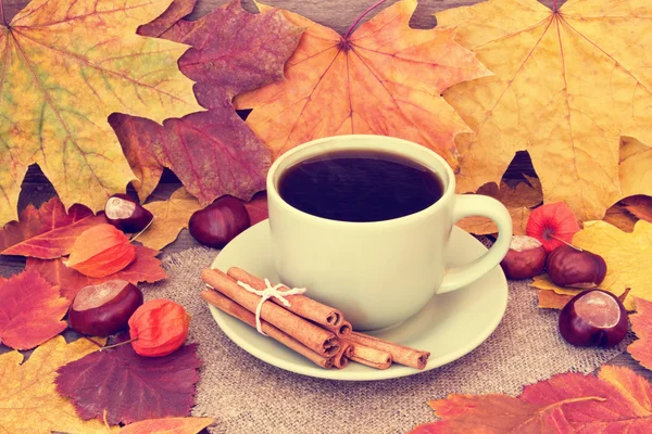 Sıcak kahve sonbahar bir arka plan üzerinde Isınma — Stok fotoğraf