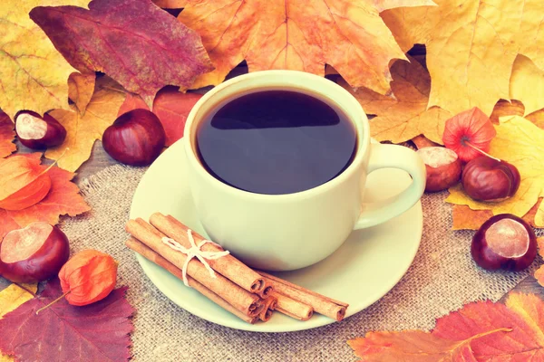 Xícara quente de café em um fundo de outono — Fotografia de Stock