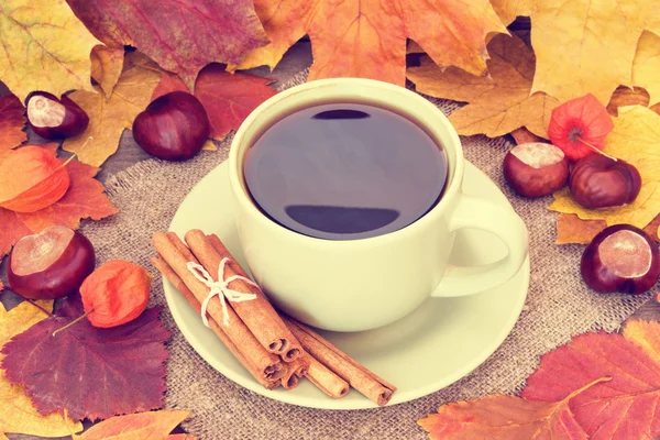 Calentar la taza de café sobre un fondo otoñal —  Fotos de Stock