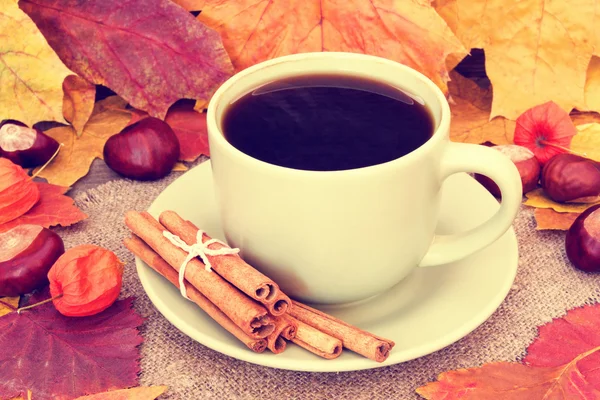 Šálek kávy na podzimní pozadí zblízka — Stock fotografie
