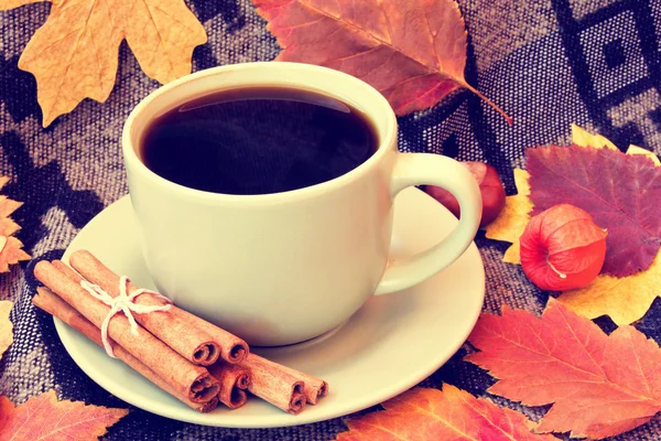 Cup of coffee with cinnamon on plaid close up — Stock Photo, Image