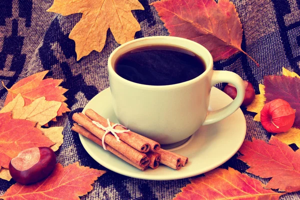 Xícara quente de café com canela na xadrez — Fotografia de Stock
