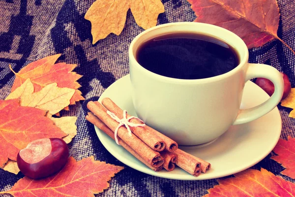 Cup of coffee with cinnamon on plaid — Stock Photo, Image