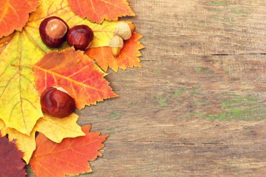 sonbahar yaprakları ve eski bir ahşap dokusu üzerinde kestane