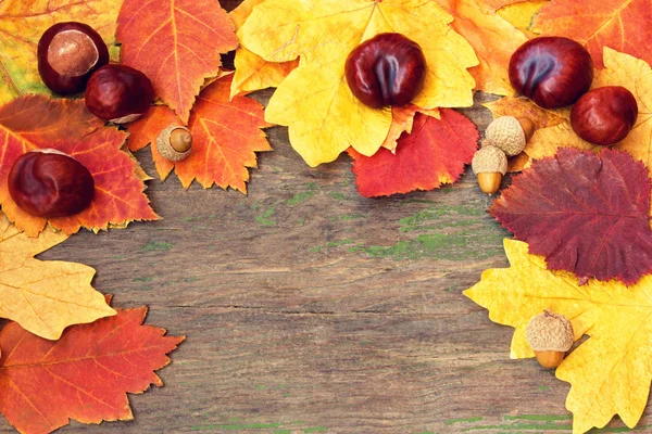Helle bunte herbstliche Blätter und Kastanien auf einer hölzernen Textur — Stockfoto