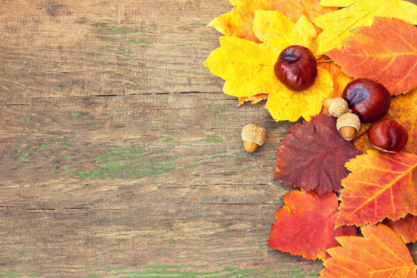 Autumnal colorful leaves and chestnuts on a wooden texture