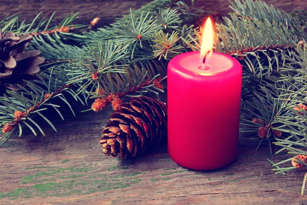 Red christmas candle and pine tree branches — Stock Photo, Image