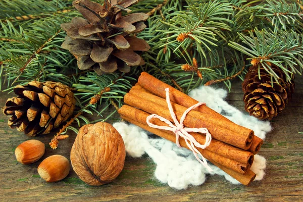 Cinnamon sticks and nuts on a wooden background — Stock Photo, Image