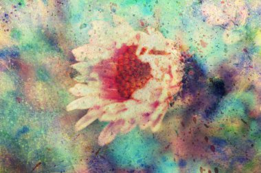 çiçek ve suluboya splatter Grunge resimle