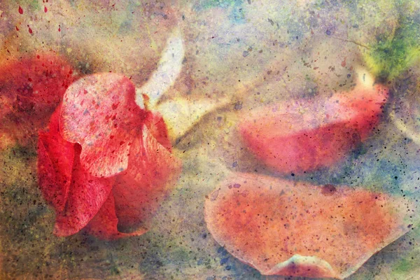 Grunge artwork with red rose and watercolor splatter — Stock Photo, Image