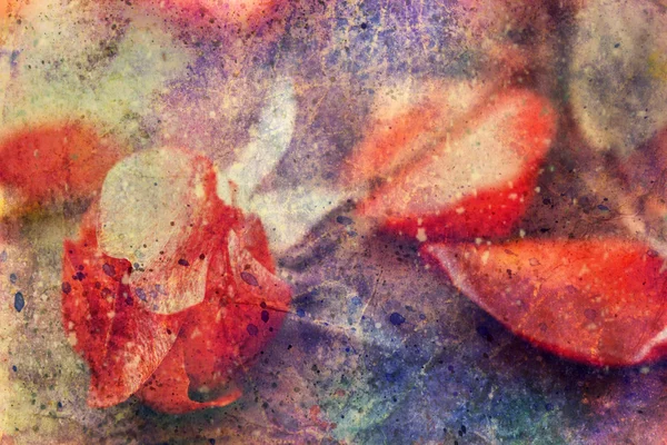Grunge-Kunstwerk mit Rose und Aquarell-Splatter — Stockfoto