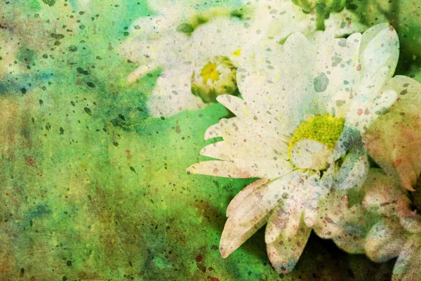 Grunge kresbu s chamomiles a akvarel šmouhy — Stock fotografie