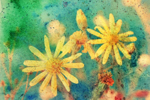 Grunge arte com flores amarelas e respingos de aquarela — Fotografia de Stock