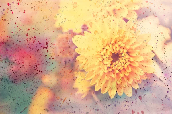 Artwork with cute asters and colorful watercolor splatter — Stock Photo, Image