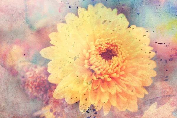 Obra de arte com flor de aster amarelo perto e respingos de aquarela — Fotografia de Stock