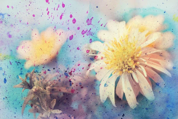 Kunstwerk mit niedlichen weißen Blüten und Aquarell-Spritzern — Stockfoto