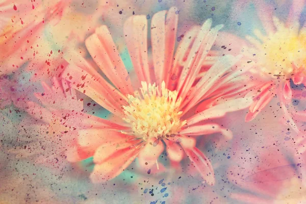 Artwork with cute red aster flower and watercolor splatter — Stock Photo, Image