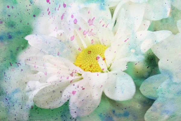 Artwork with chamomile and watercolor strokes — Stock Photo, Image