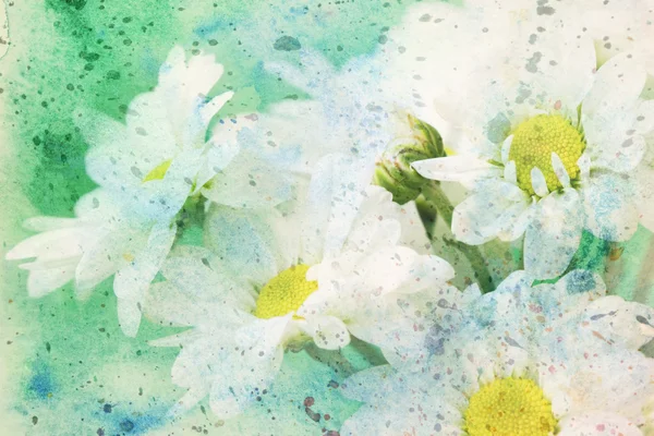 Artwork with chamomile flowers and watercolor splashes — Stock Photo, Image