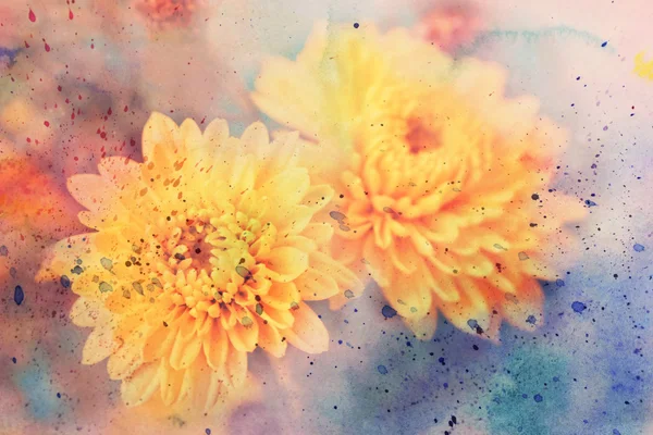 Scenic artwork with yellow asters and watercolor — Stock Photo, Image