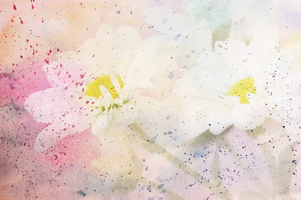 Scenic artwork with cute chamomiles — Stock Photo, Image