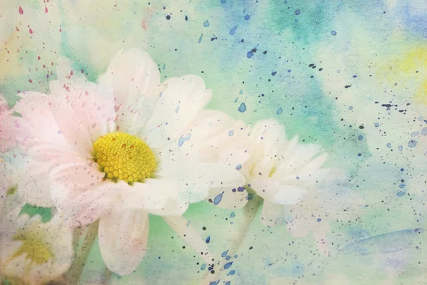 かわいいカモミールの花と美しいアートワーク — ストック写真