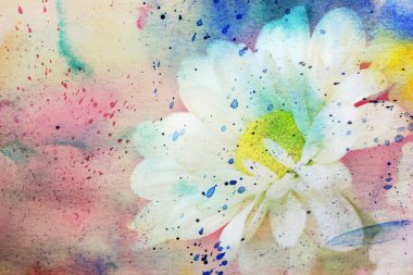 çok güzel papatya ve suluboya sıçramak