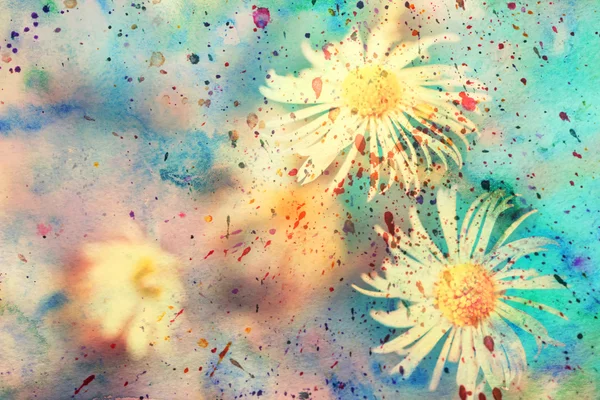 Small white chamomiles and colorful watercolor splatter — Stock Photo, Image