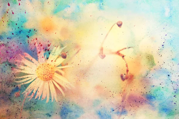 Cute small chamomile flower and watercolor — Stock Photo, Image