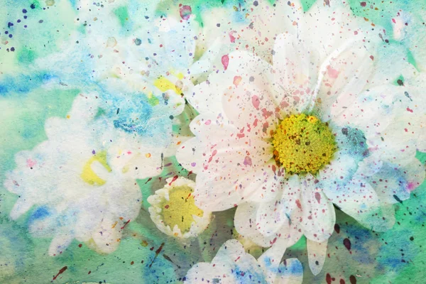 Chamomiles and grunge watercolor splatter — Stock Photo, Image