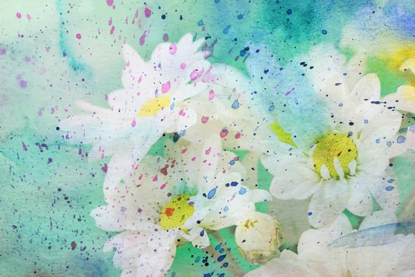 Beyaz chamomiles ve suluboya — Stok fotoğraf