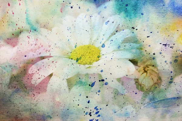 Beautiful artwork with chamomile flowers — Stock Photo, Image