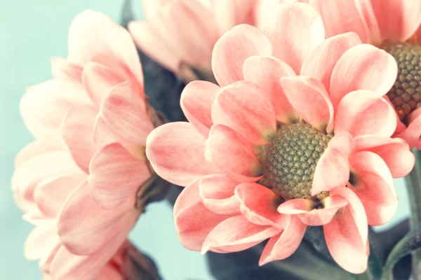 Härliga blekt rosa blommor i vintage stil — Stockfoto