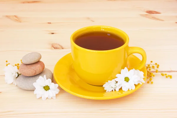 Cup of herb tea and gentle spring daisies — Stock Photo, Image