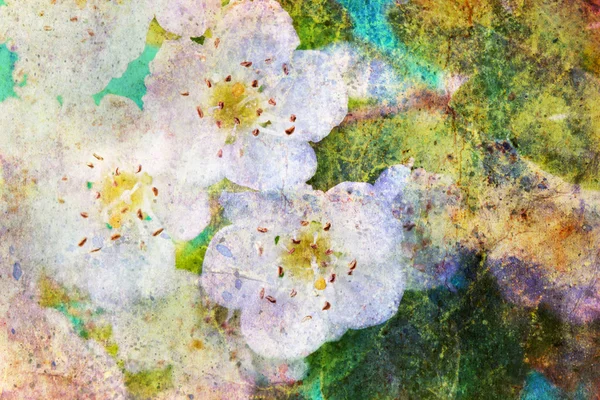 Spring white flowers and messy watercolor splatter — Stock Photo, Image