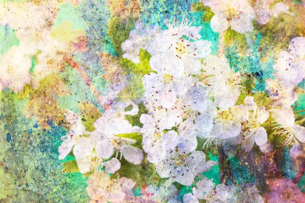 Spring white flowers and messy watercolor splashes — Stock Photo, Image